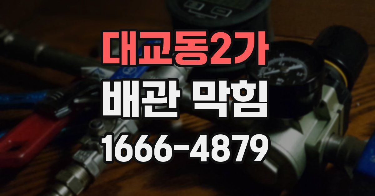 대교동2가 배관 막힘
