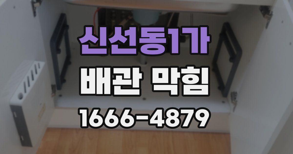 신선동1가 배관 막힘