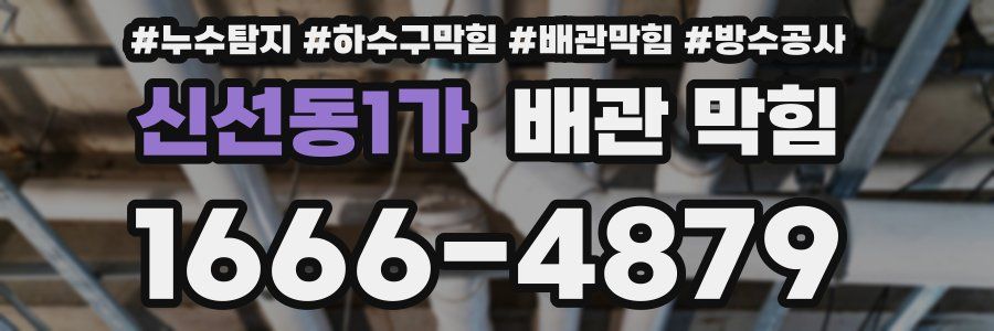 신선동1가 배관 막힘