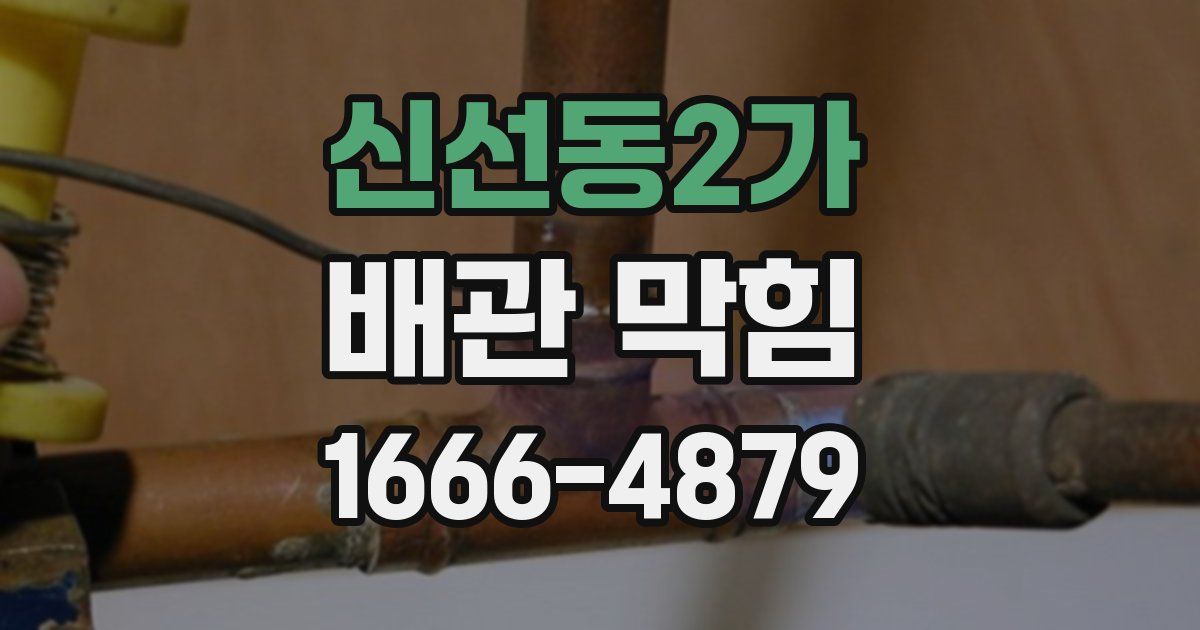 신선동2가 배관 막힘
