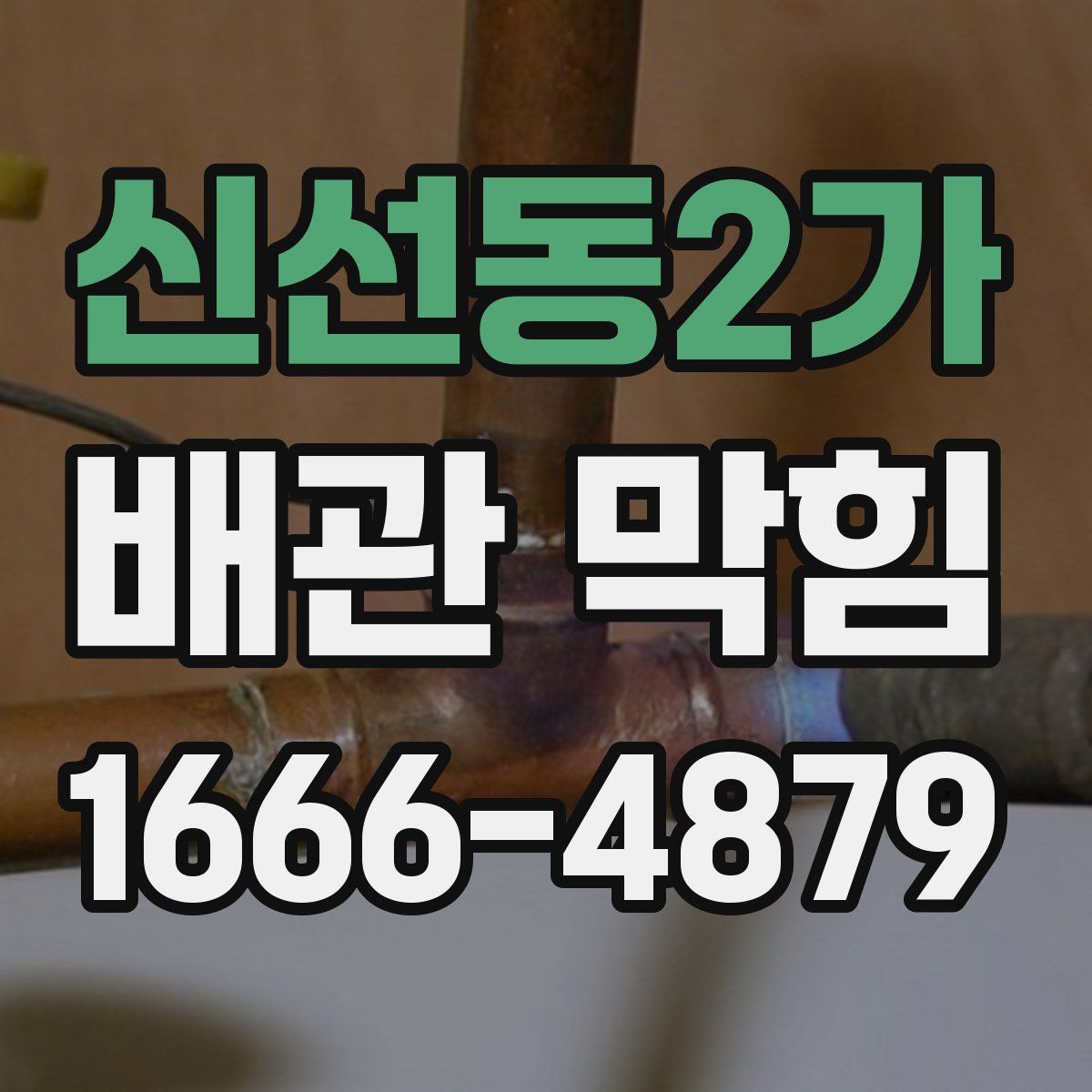 신선동2가 배관 막힘