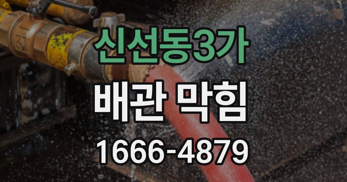 신선동3가 배관 막힘