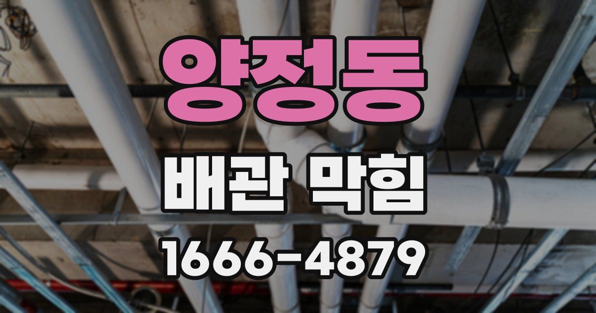 양정동 배관 막힘