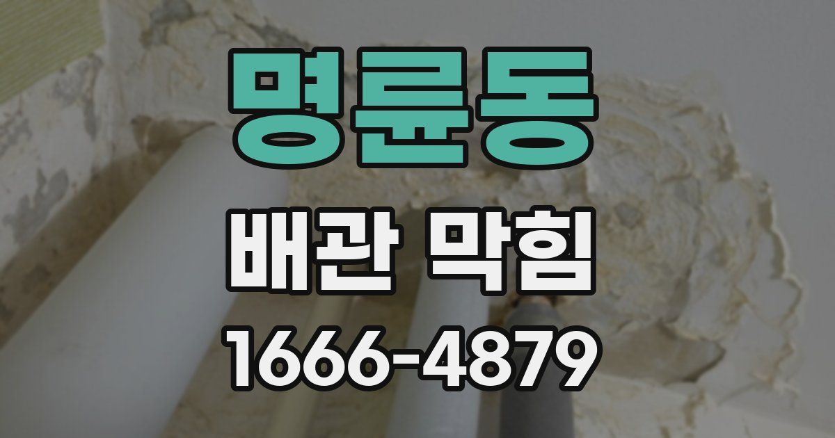 명륜동 배관 막힘