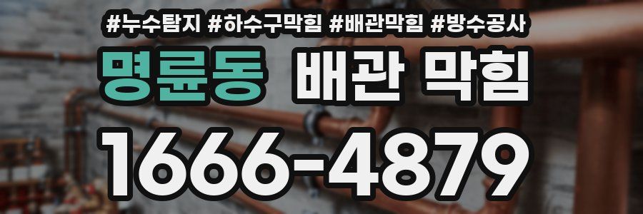 명륜동 배관 막힘