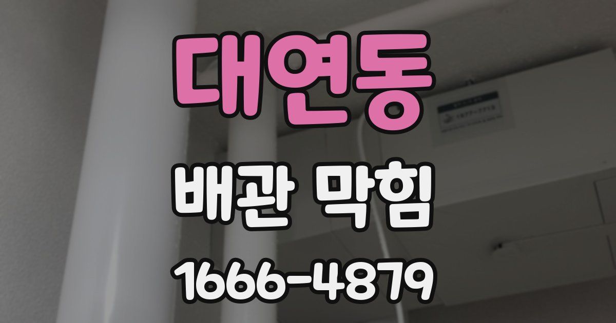 대연동 배관 막힘