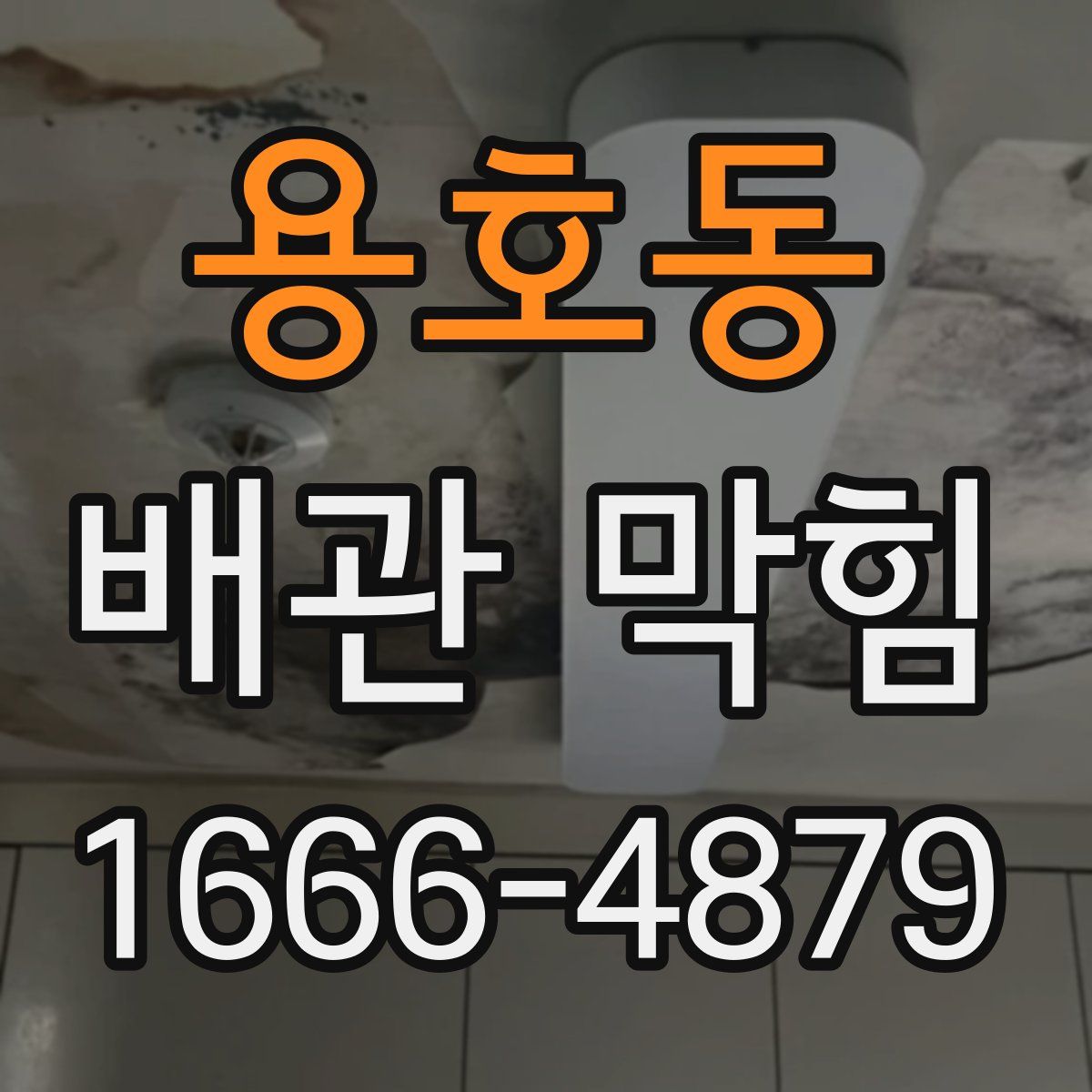 용호동 배관 막힘