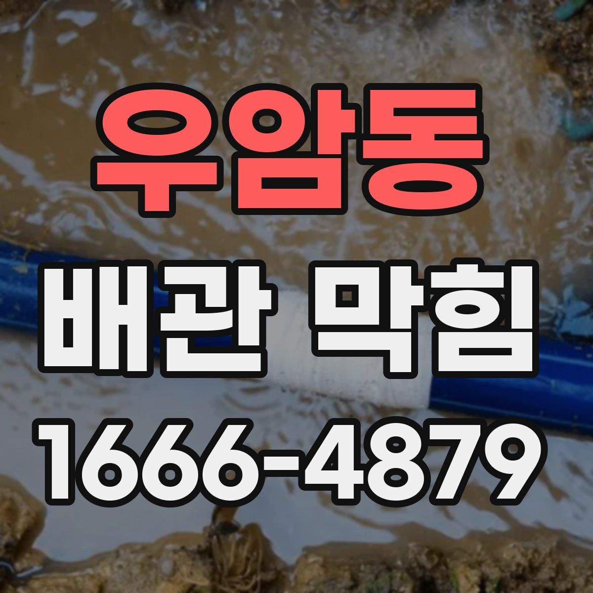 우암동 배관 막힘