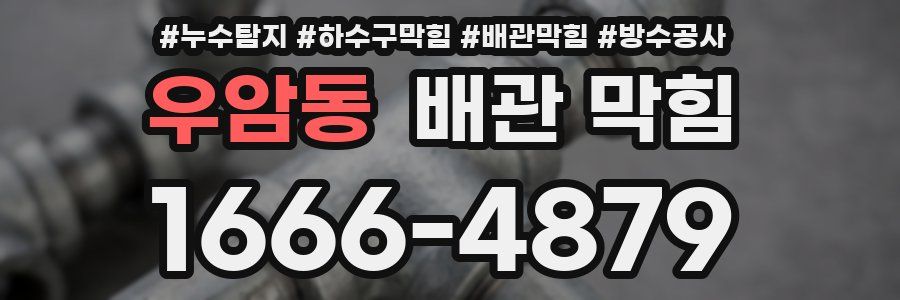 우암동 배관 막힘