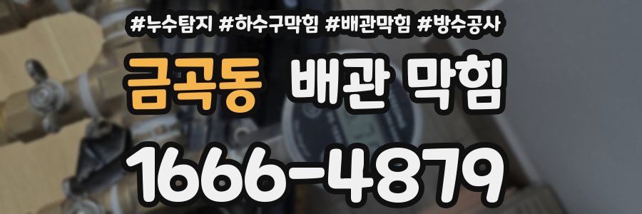 금곡동 배관 막힘