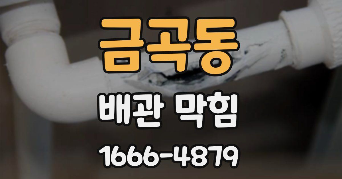 금곡동 배관 막힘