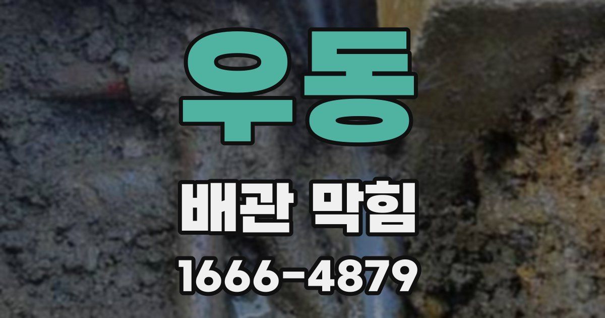 우동 배관 막힘