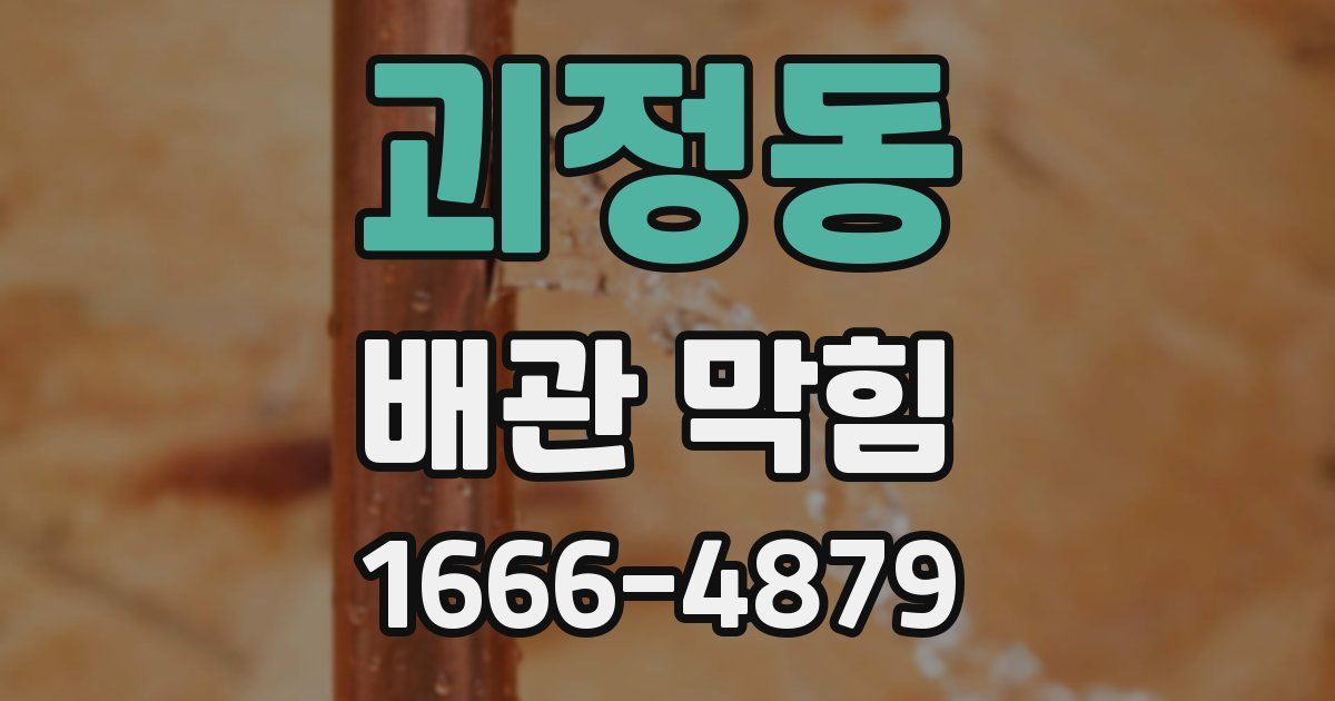 괴정동 배관 막힘