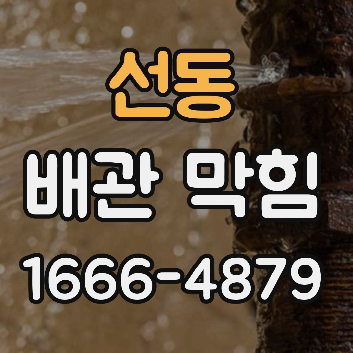 선동 배관 막힘
