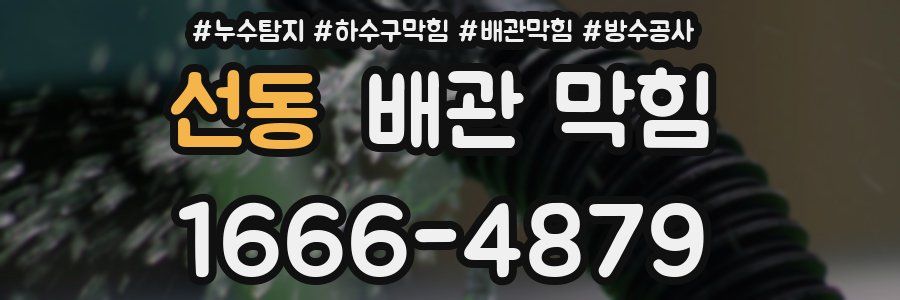 선동 배관 막힘