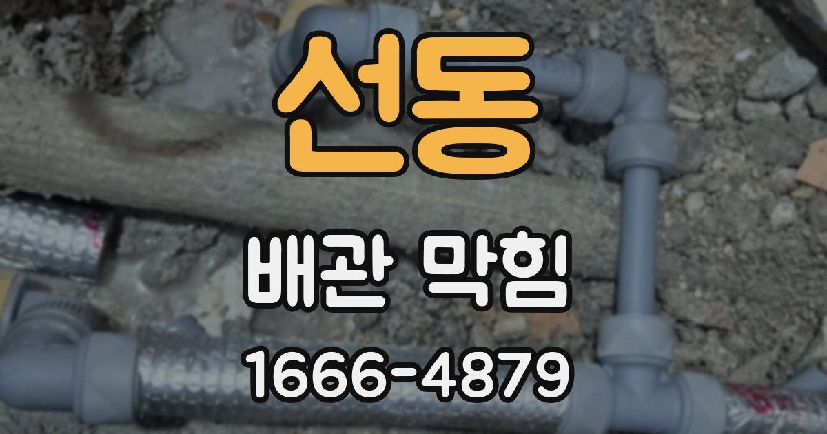 선동 배관 막힘