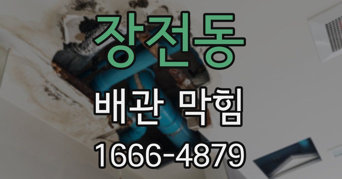 장전동 배관 막힘