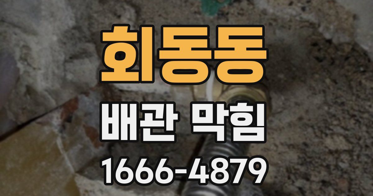 회동동 배관 막힘