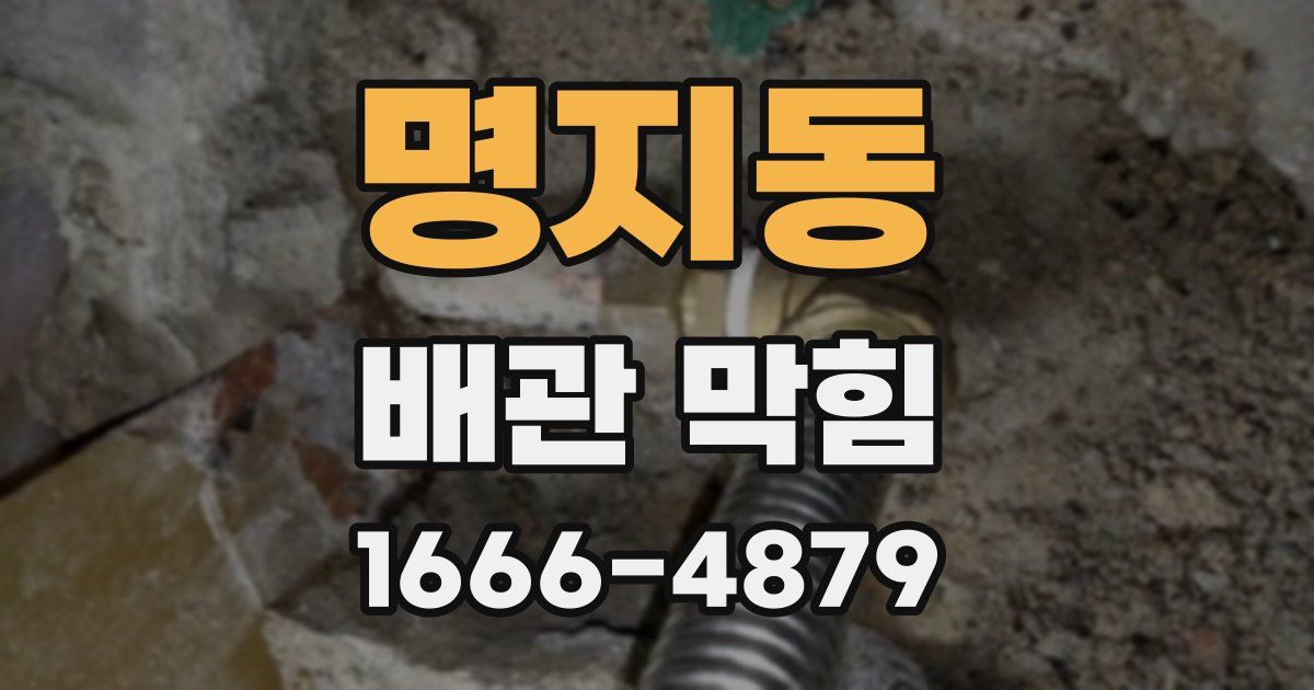 명지동 배관 막힘