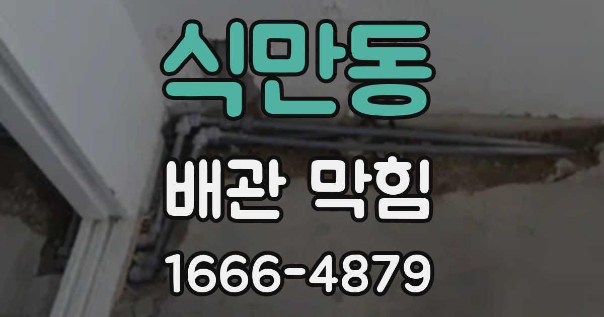 식만동 배관 막힘