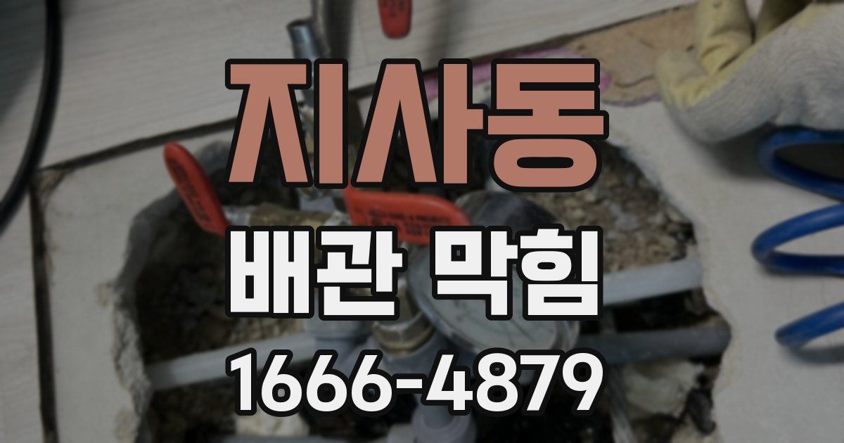 지사동 배관 막힘