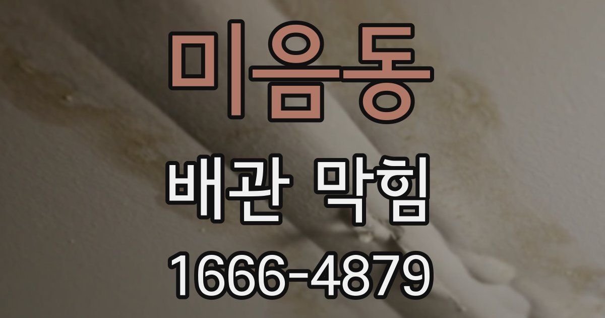 미음동 배관 막힘