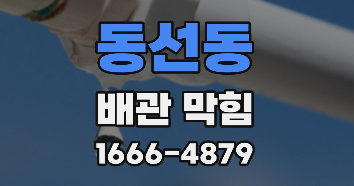 동선동 배관 막힘