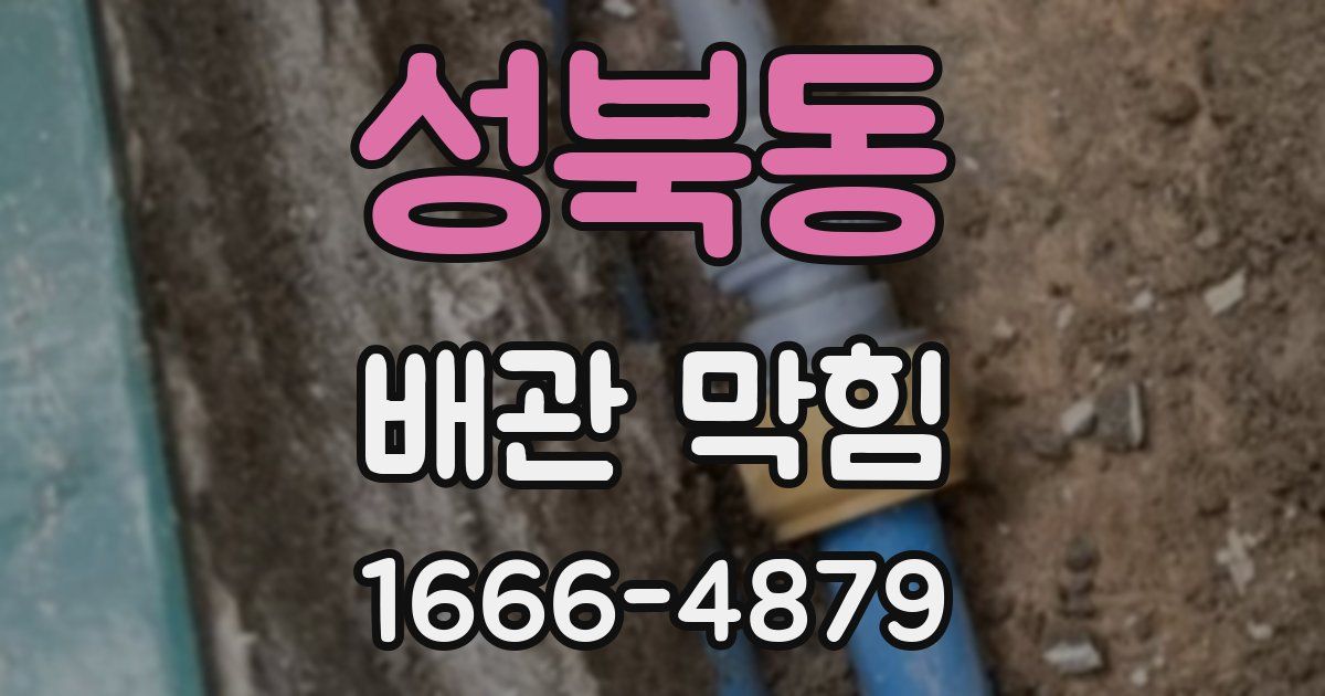 성북동 배관 막힘