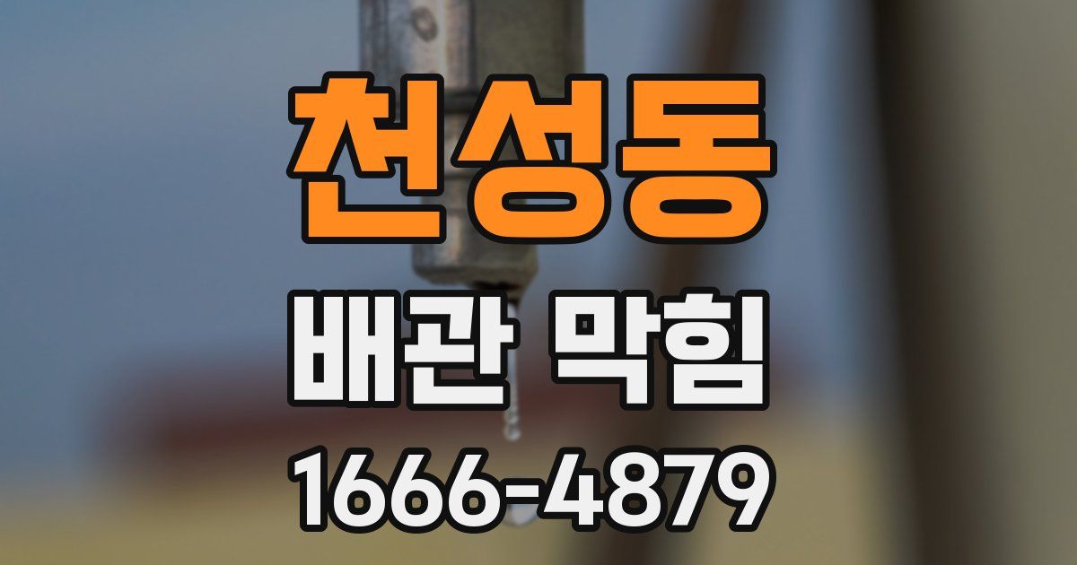 천성동 배관 막힘