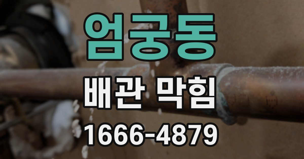 엄궁동 배관 막힘