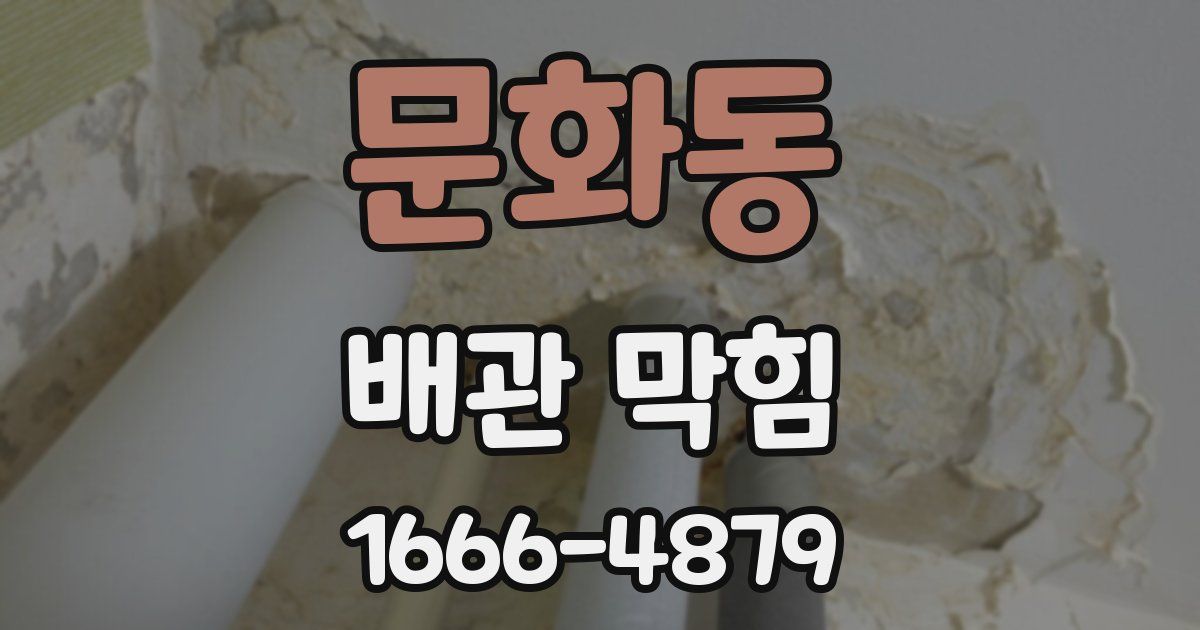 문화동 배관 막힘