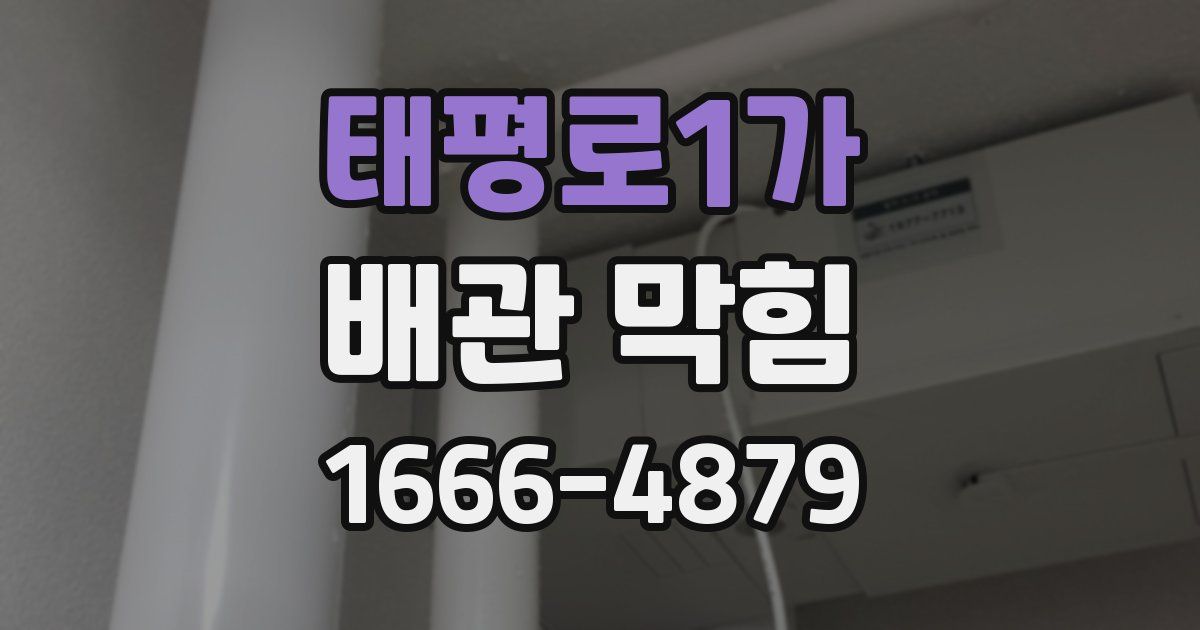태평로1가 배관 막힘