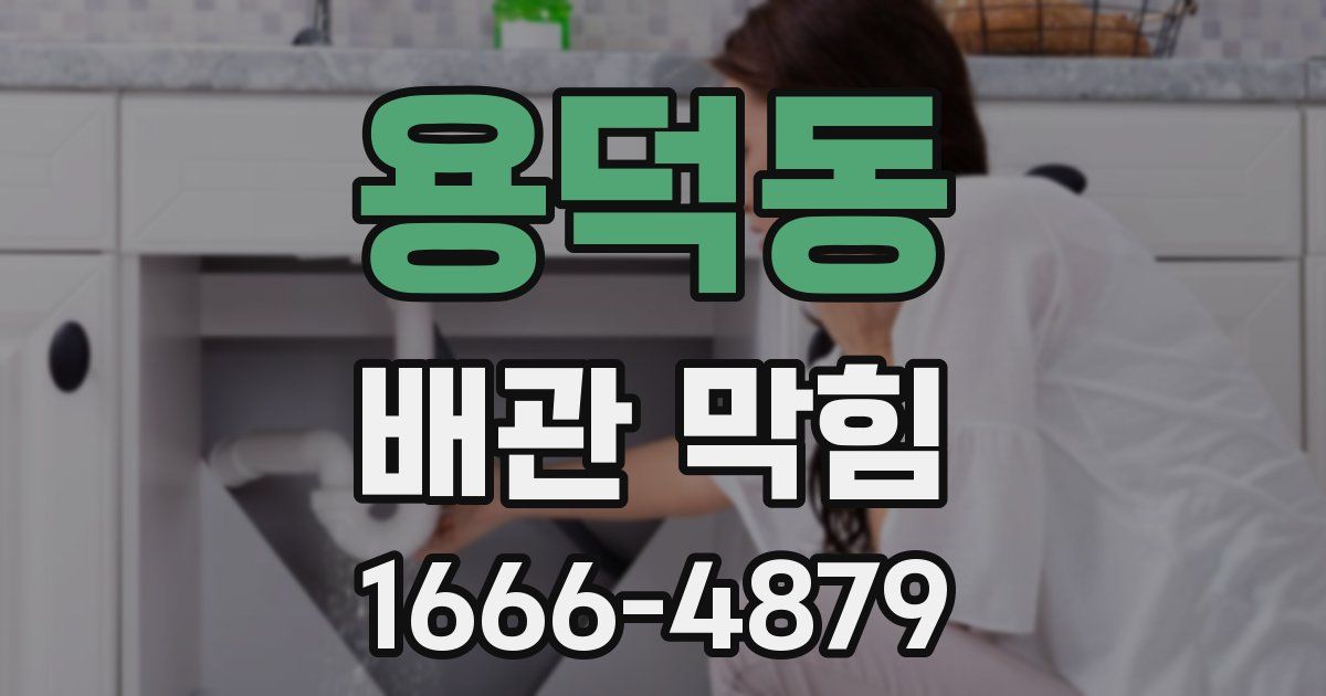 용덕동 배관 막힘