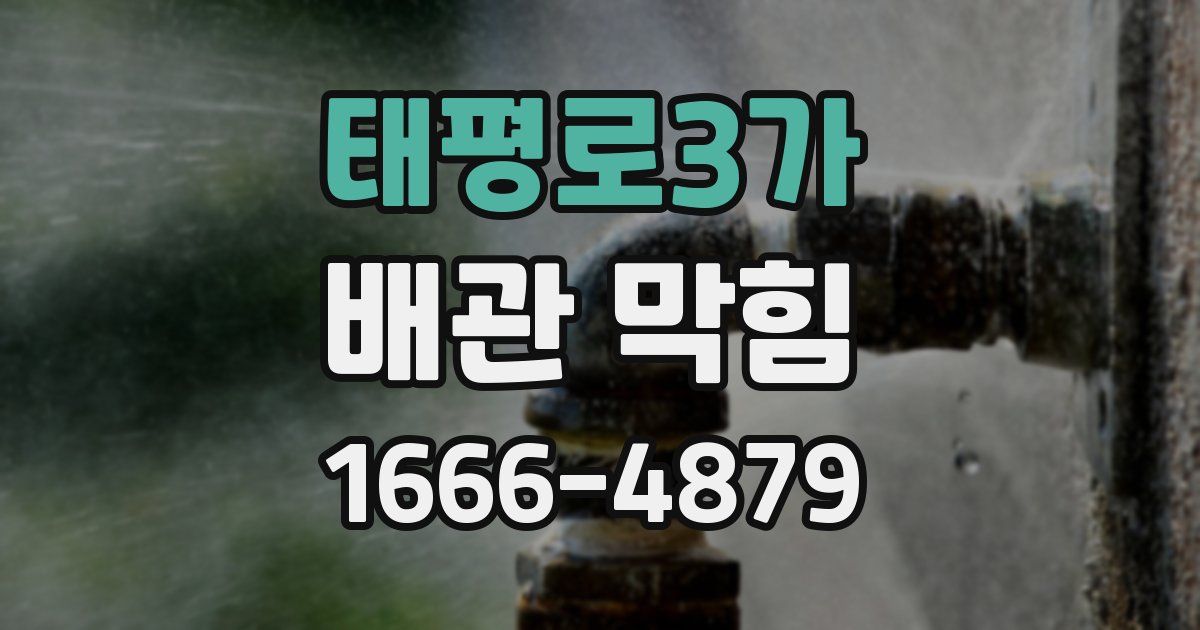 태평로3가 배관 막힘