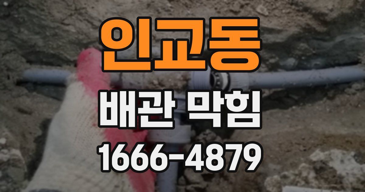 인교동 배관 막힘