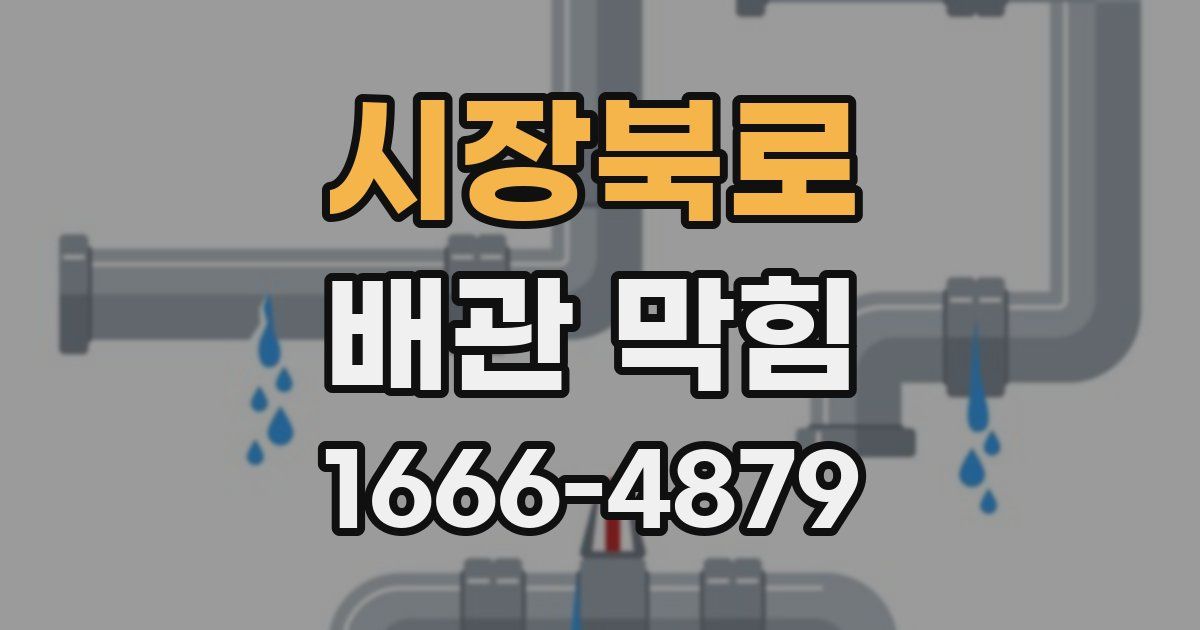 시장북로 배관 막힘