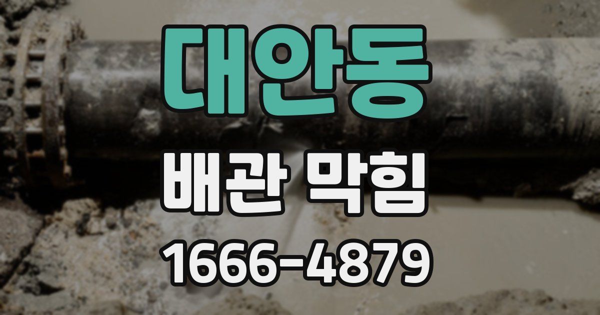 대안동 배관 막힘