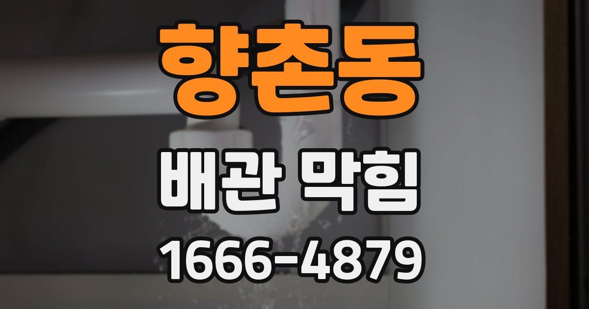 향촌동 배관 막힘