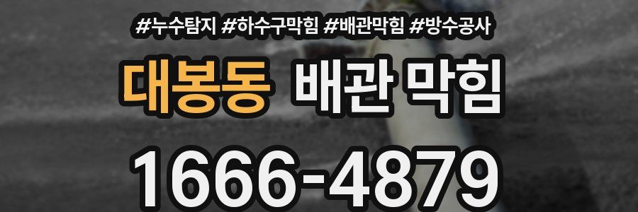 대봉동 배관 막힘