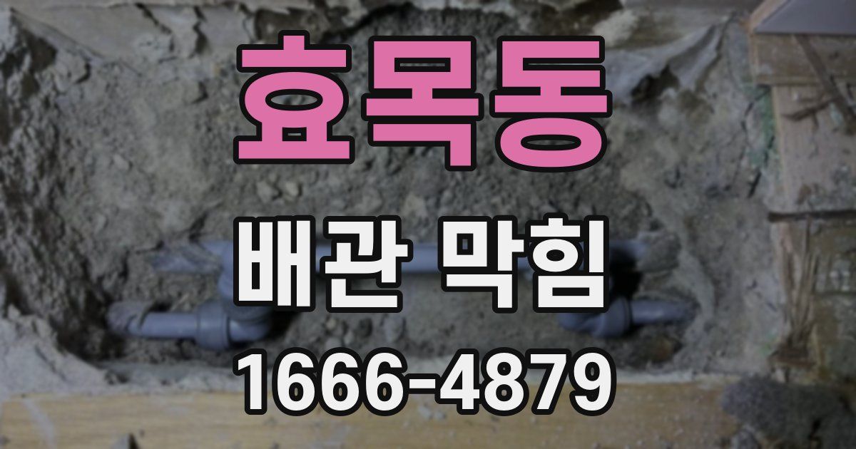 효목동 배관 막힘