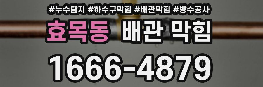 효목동 배관 막힘