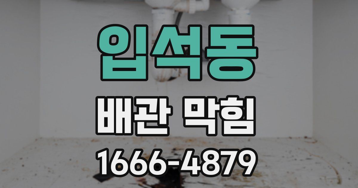 입석동 배관 막힘