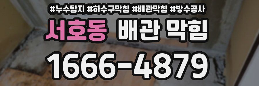 서호동 배관 막힘