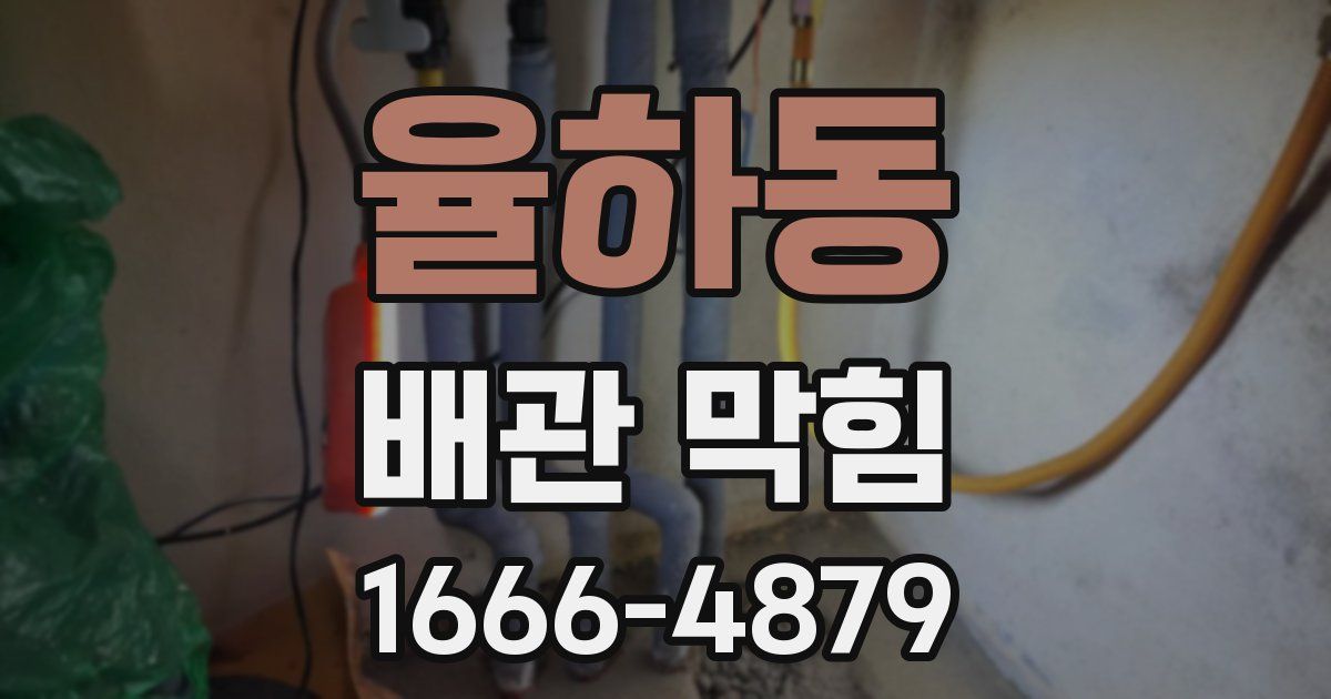 율하동 배관 막힘
