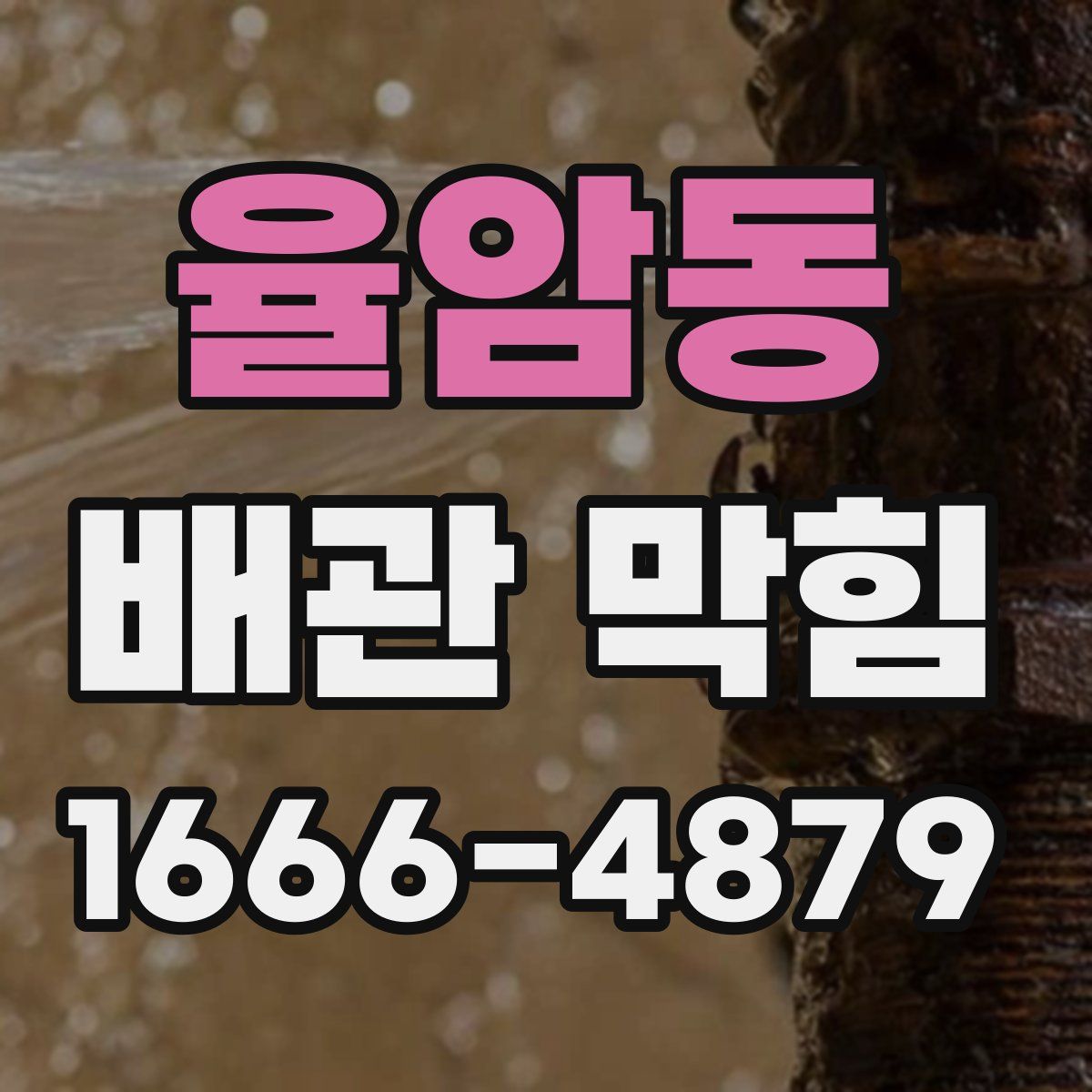 율암동 배관 막힘