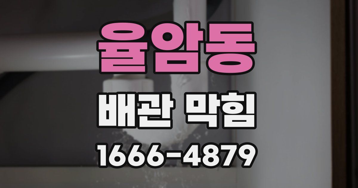 율암동 배관 막힘