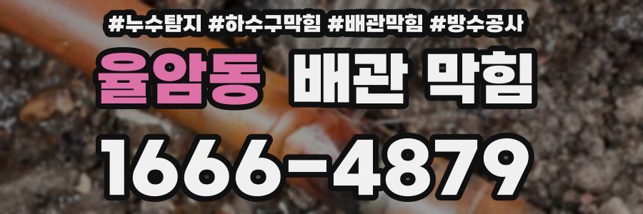 율암동 배관 막힘