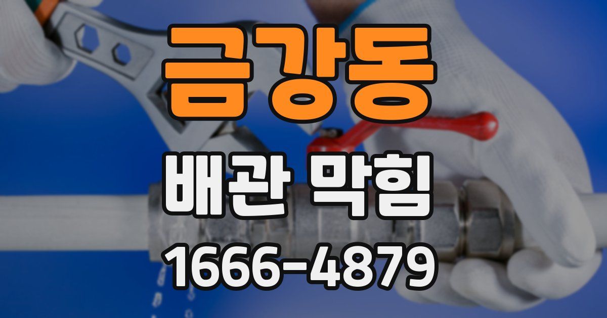 금강동 배관 막힘