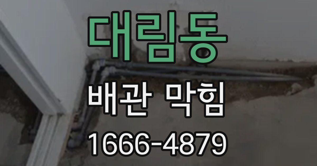대림동 배관 막힘