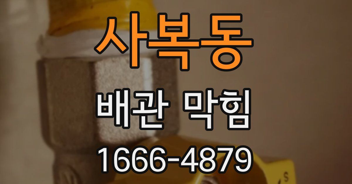 사복동 배관 막힘